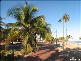 Ocean Park - SAN JUAN